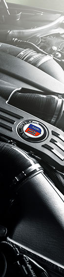 AUTO FUS GROUP ALPINA